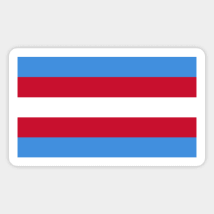 Houston Color Stripes (Throwbacks) Magnet